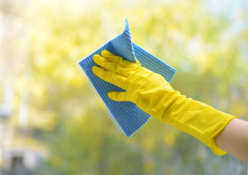 Carpet cleaning team reviewing a customer complaint form