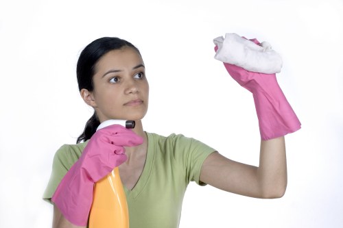 Accessibility support request section for Limehouse carpet cleaning website